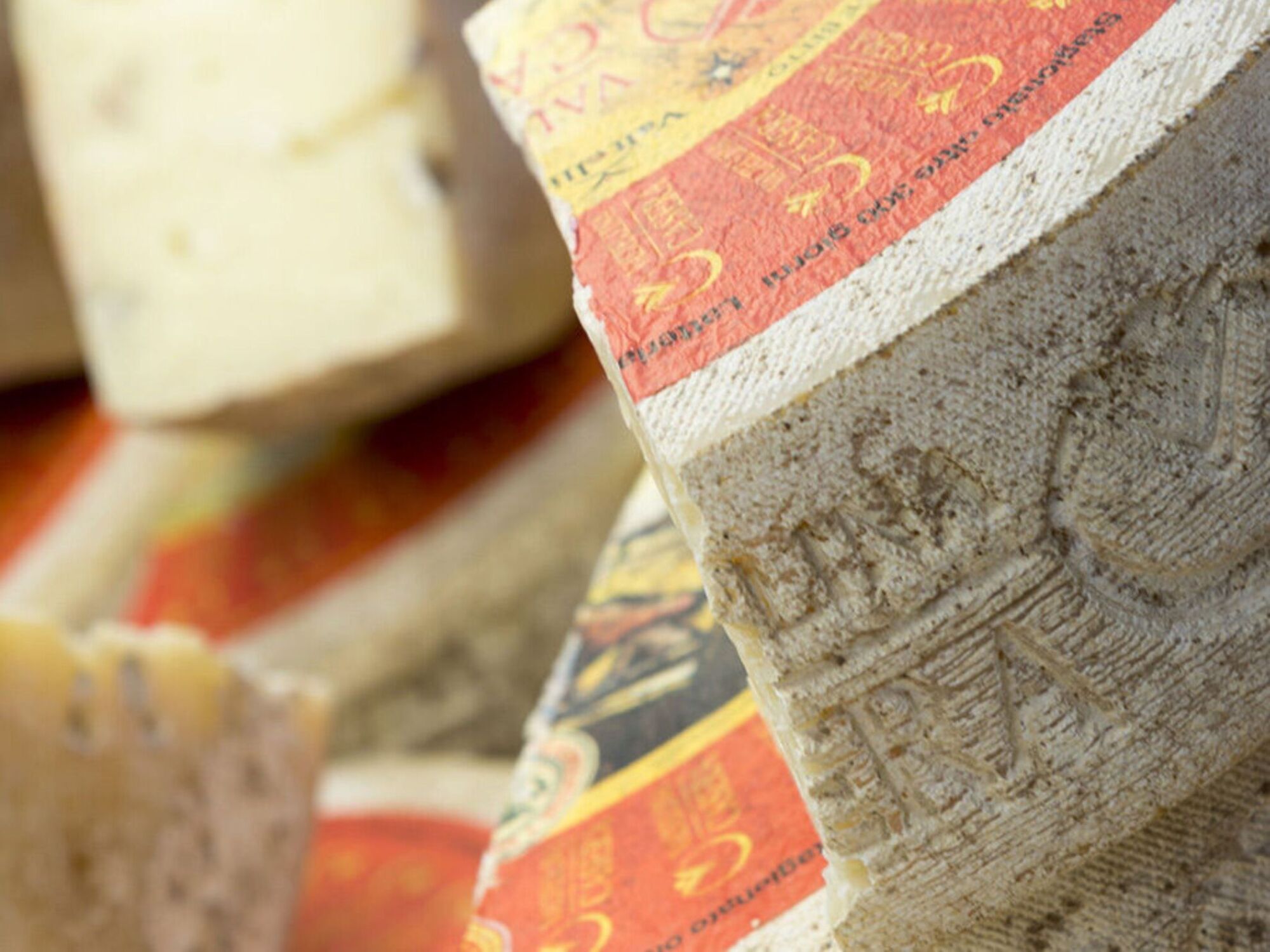 Da B2Cheese alla Mostra del Bitto, un autunno in fiera
