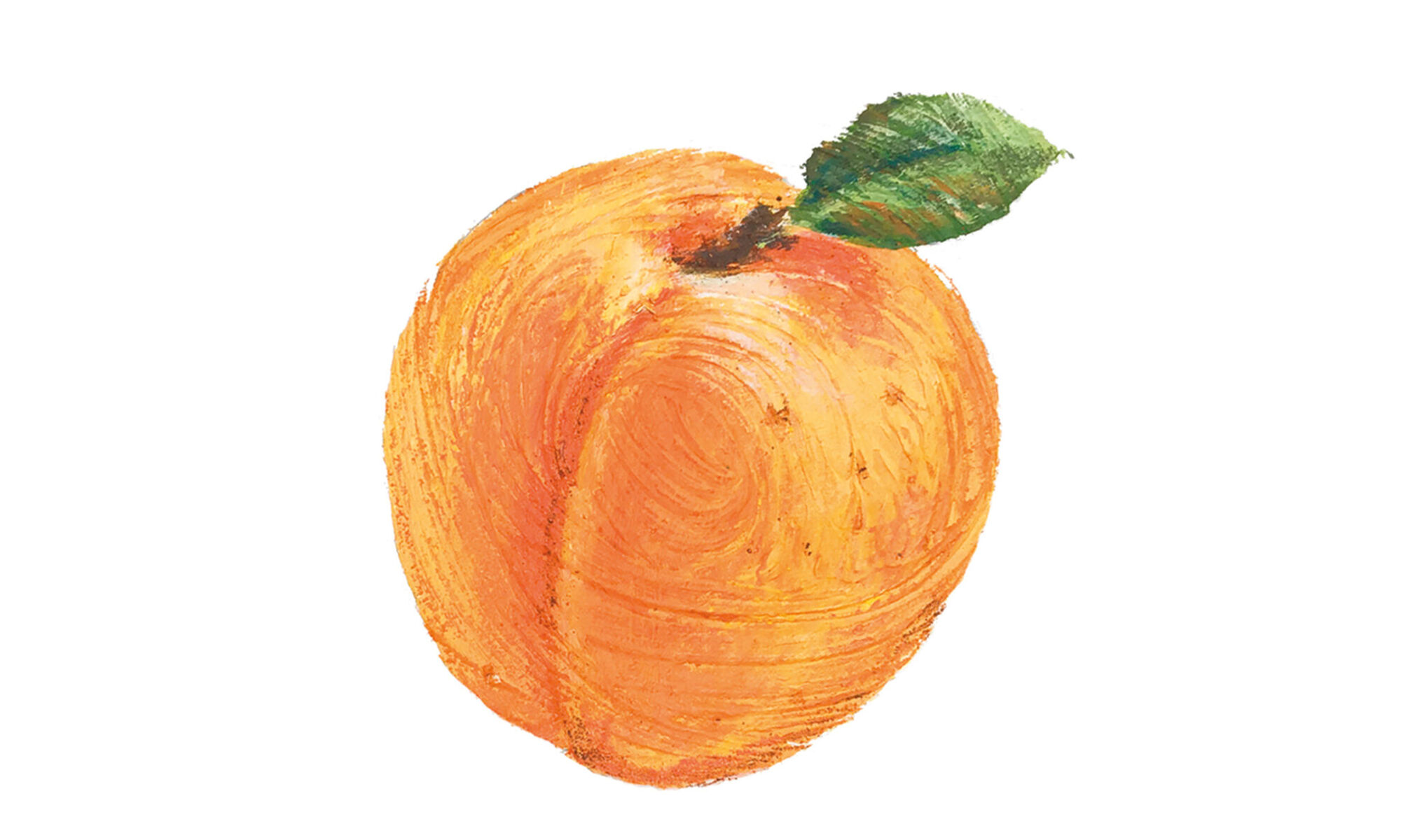 Mangiare a colori: l'albicocca, frutto che regala buonumore e bellezza!